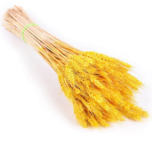 Load image into Gallery viewer, 7PCs Bulrush Natural Dried Flowers Small Pampas Grass Phragmites DIY Artificial Flowers Plants For Decor Home Wedding Decoration
