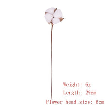 Load image into Gallery viewer, 7PCs Bulrush Natural Dried Flowers Small Pampas Grass Phragmites DIY Artificial Flowers Plants For Decor Home Wedding Decoration
