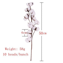 Load image into Gallery viewer, 7PCs Bulrush Natural Dried Flowers Small Pampas Grass Phragmites DIY Artificial Flowers Plants For Decor Home Wedding Decoration
