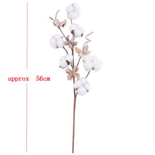 Load image into Gallery viewer, 7PCs Bulrush Natural Dried Flowers Small Pampas Grass Phragmites DIY Artificial Flowers Plants For Decor Home Wedding Decoration
