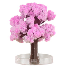 Load image into Gallery viewer, Magic Growing Tree Paper Sakura Crystal Trees Desktop Cherry Blossom Toys  HKS99
