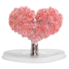 Load image into Gallery viewer, Magic Growing Tree Paper Sakura Crystal Trees Desktop Cherry Blossom Toys  HKS99
