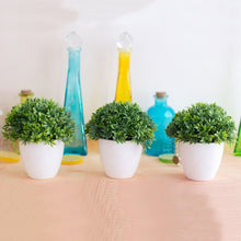Load image into Gallery viewer, Artificial Potted Plant Bonsai Plastic Flowerpot Ornaments Simulation Flower Grass Birthday Party Decor Home Office Desk Decor
