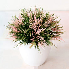 Load image into Gallery viewer, Artificial Potted Plant Bonsai Plastic Flowerpot Ornaments Simulation Flower Grass Birthday Party Decor Home Office Desk Decor
