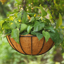 Load image into Gallery viewer, Garden Plant Decorative Basket Holder Household Green Dill Flower Pot Wrought Iron Coconut Basket pot hanger for wall decoration
