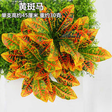 Load image into Gallery viewer, Artificial flower Plant Lawn DIY Background Wall Simulation Grass Leaf Home Decoration Green Wholesale Carpet Turf Office Decor
