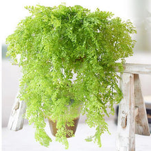 Load image into Gallery viewer, 80cm Soft Plastic Wall Hang Artificial Plant 9 Fork Branch Moss Leaf Vine Garland Fake Plants Wedding Home Decor Green
