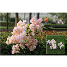 Load image into Gallery viewer, Fake Cherry Blossom Flower Branch Begonia Sakura Tree Stem for Event Wedding Tree Deco Artificial Decorative Flowers For Hotel
