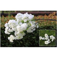 Load image into Gallery viewer, Fake Cherry Blossom Flower Branch Begonia Sakura Tree Stem for Event Wedding Tree Deco Artificial Decorative Flowers For Hotel
