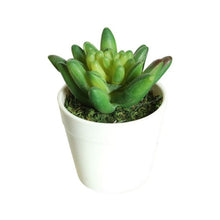 Load image into Gallery viewer, Artificial Mini Plants Vivid Cactus Succulent Home Decoration Plant with Vase for Office Table Indoor Plants
