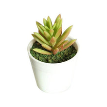 Load image into Gallery viewer, Artificial Mini Plants Vivid Cactus Succulent Home Decoration Plant with Vase for Office Table Indoor Plants

