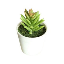 Load image into Gallery viewer, Artificial Mini Plants Vivid Cactus Succulent Home Decoration Plant with Vase for Office Table Indoor Plants
