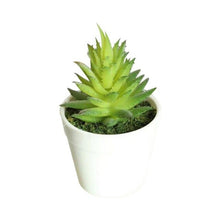 Load image into Gallery viewer, Artificial Mini Plants Vivid Cactus Succulent Home Decoration Plant with Vase for Office Table Indoor Plants
