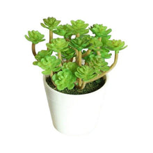 Load image into Gallery viewer, Artificial Mini Plants Vivid Cactus Succulent Home Decoration Plant with Vase for Office Table Indoor Plants
