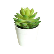 Load image into Gallery viewer, Artificial Mini Plants Vivid Cactus Succulent Home Decoration Plant with Vase for Office Table Indoor Plants
