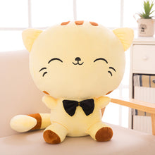 Load image into Gallery viewer, Cute big face cat plush toys little Kitty doll big pillow doll pillow children birthday gift girl Factory direct sale
